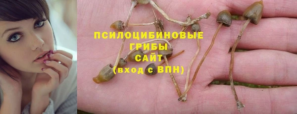 соль ск Балабаново