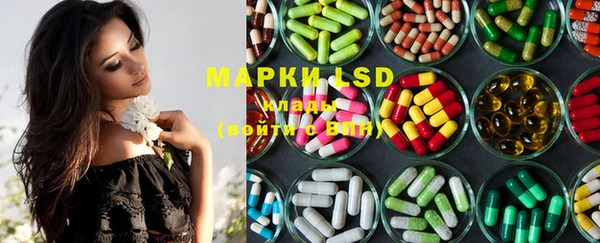 PSILOCYBIN Баксан