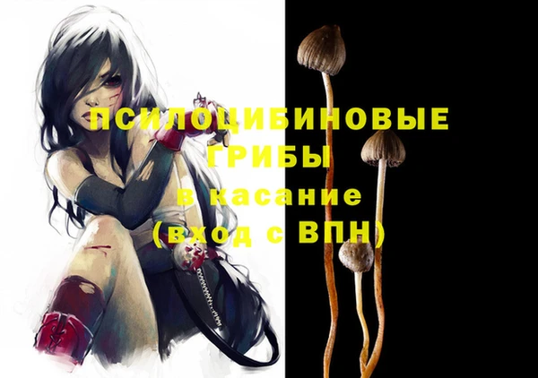 PSILOCYBIN Баксан